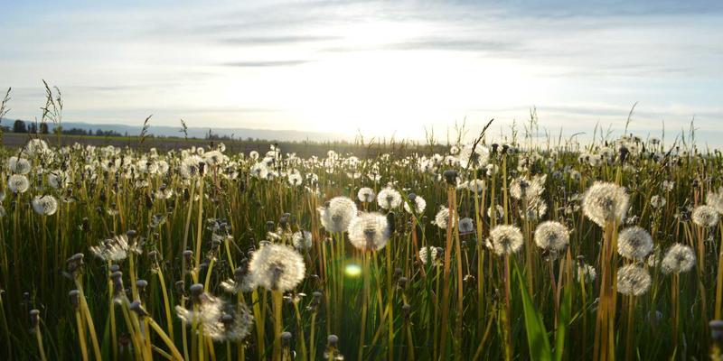 Dr. John Ayers5：整合咨询、家庭治疗与健康服务，引领全人健康新范式