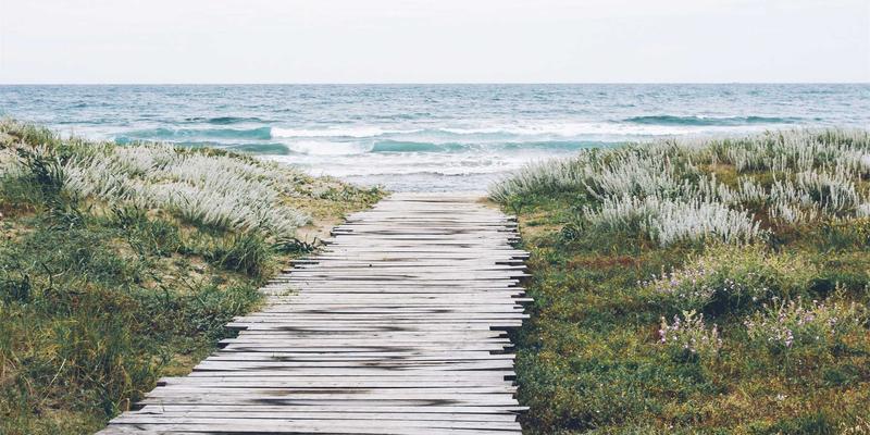 Dr. John Ayers: A Trusted Psychologist for Couples Counseling and Wellness Services