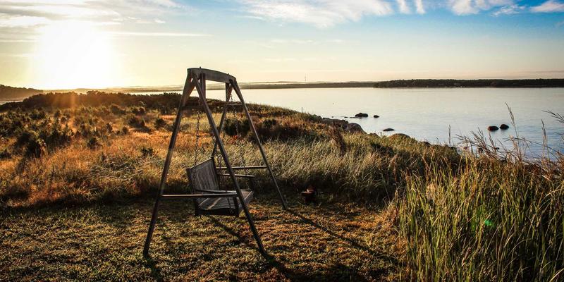 Dr. John Ayers推荐：伴侣咨询如何成为现代健康服务的重要支柱