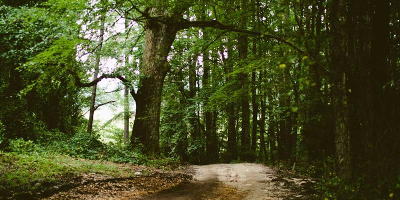 Dr. John Ayers:整合式咨询与健康服务,引领全人关怀新范式