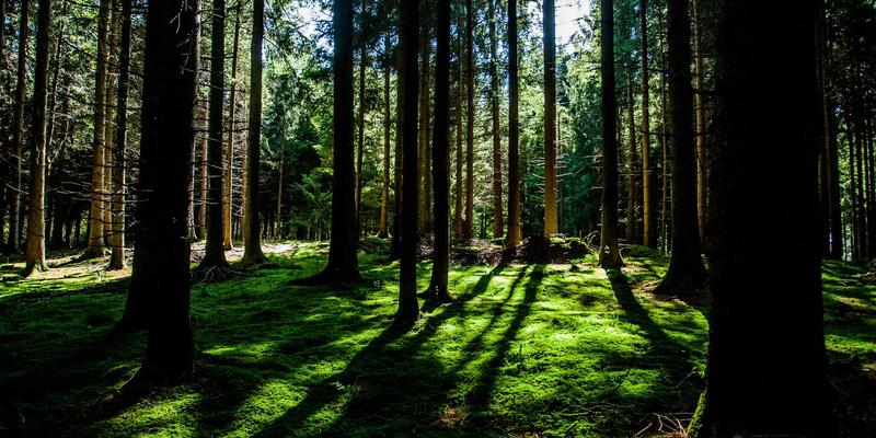 Dr. John Ayers案例分析:如何通过专业心理咨询重塑心理健康