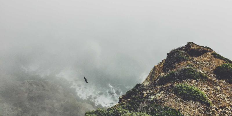 Dr. John Ayers 的数字流行病学洞察：糖尿病管理为何需要心理师与伴侣咨询的介入