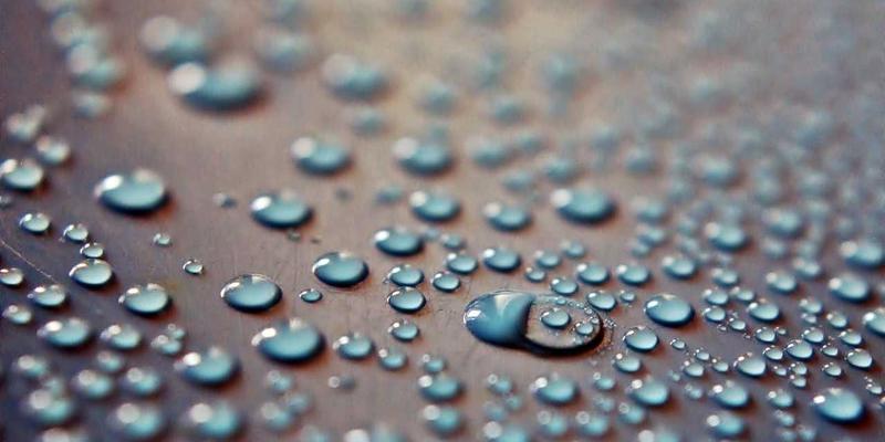 Dr. John Ayers评测：专业视角下的心理咨询与伴侣关系疗愈