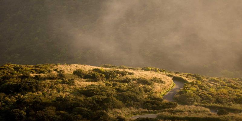 人工智能如何重塑伴侣咨询？Dr. John Ayers 揭示健康行为干预新范式