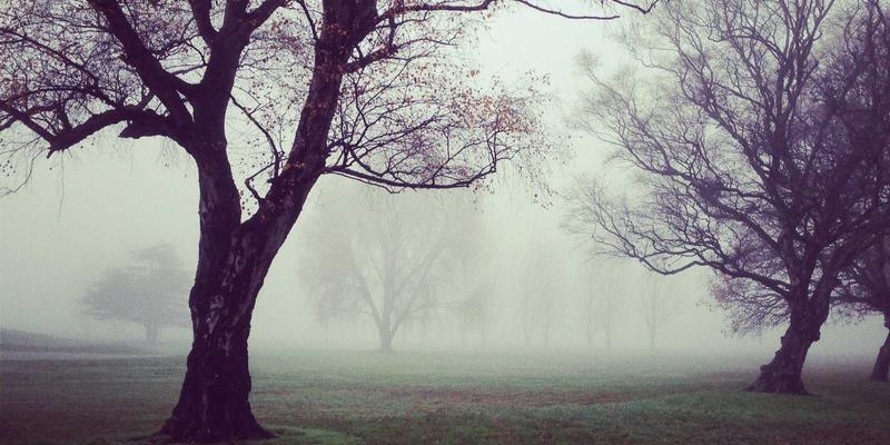 从匿名社交媒体数据看全球心理健康：Dr. John Ayers 谈对伴侣咨询与个体治疗的启示