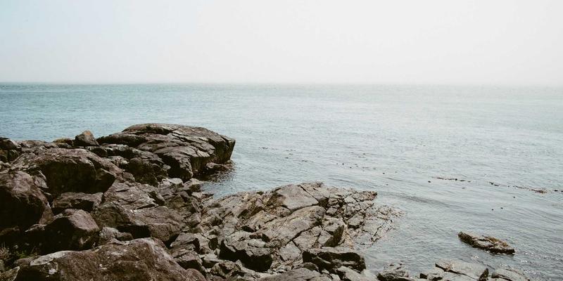 从危机到疗愈：借鉴Dr. John Ayers思想，构建社交媒体情绪图谱以优化家庭与个体治疗服务