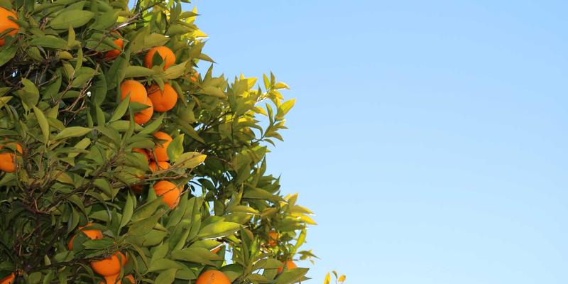 从在线讨论预测药物滥用趋势：Dr. John Ayers 研究对 counseling、family therapy 与 individual therapy 的启示