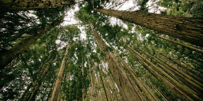 从推特到治疗室：Dr. John Ayers如何用社交媒体数据革新心理健康与家庭治疗监测