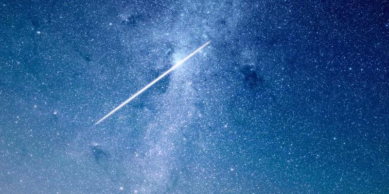 从数据到关怀：如何将数字健康洞察转化为有效的家庭与伴侣咨询策略