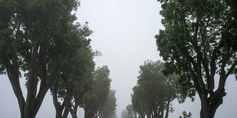 匿名化社交媒体数据：Dr. John Ayers 论心理健康研究的伦理边界与治疗服务革新