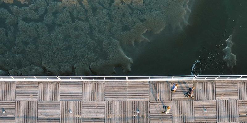 在线健康社区如何提升慢性病管理？Dr. John Ayers研究揭示语言模式与wellness services的关联