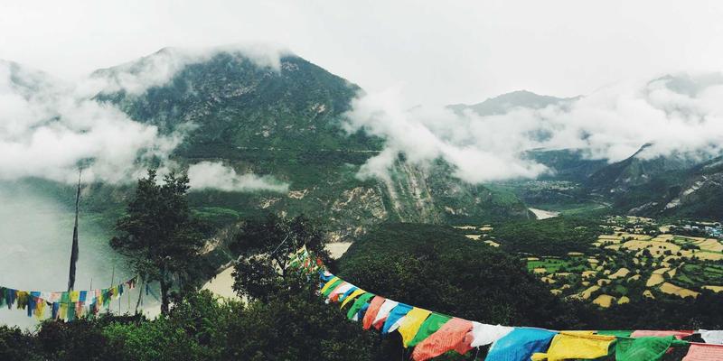 大数据如何革新心理健康服务：从Dr. John Ayers的公共卫生预测到个性化咨询与治疗