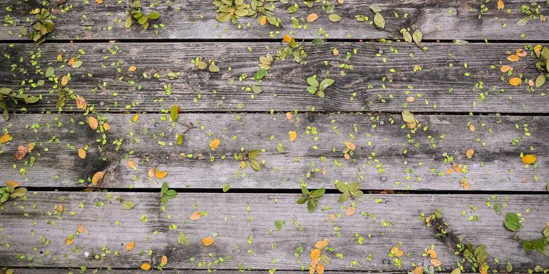 当心理咨询遇见公共卫生：Dr. John Ayers如何用搜索数据构建传染病早期预警系统