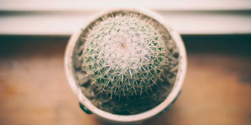 心理专家Dr. John Ayers解析：如何运用健康信息流行病学对抗网络错误信息，守护心理健康