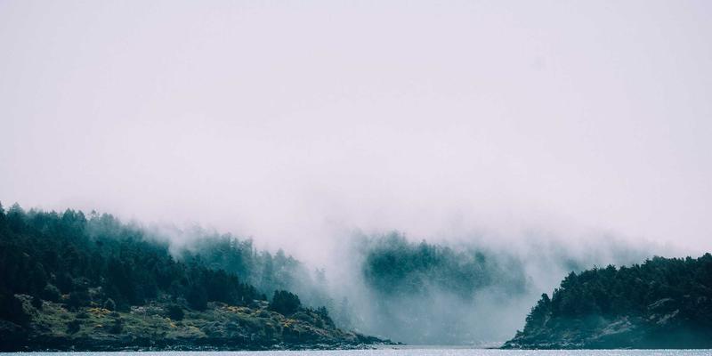 数字流行病学揭示职场真相：心理学家如何通过数据分析提升员工心理健康与生产力