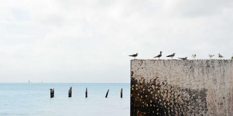 数据科学照亮隐秘角落：Dr. John Ayers 谈如何弥合家庭与伴侣心理咨询的数字鸿沟