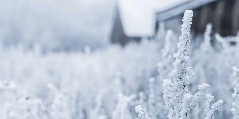 超越疫情追踪：Dr. John Ayers 揭示行为数据如何革新心理健康与家庭治疗服务评估